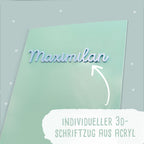 Falken Zeugnismappe Karton Ringbuch mit 3D-Name A4 Mint