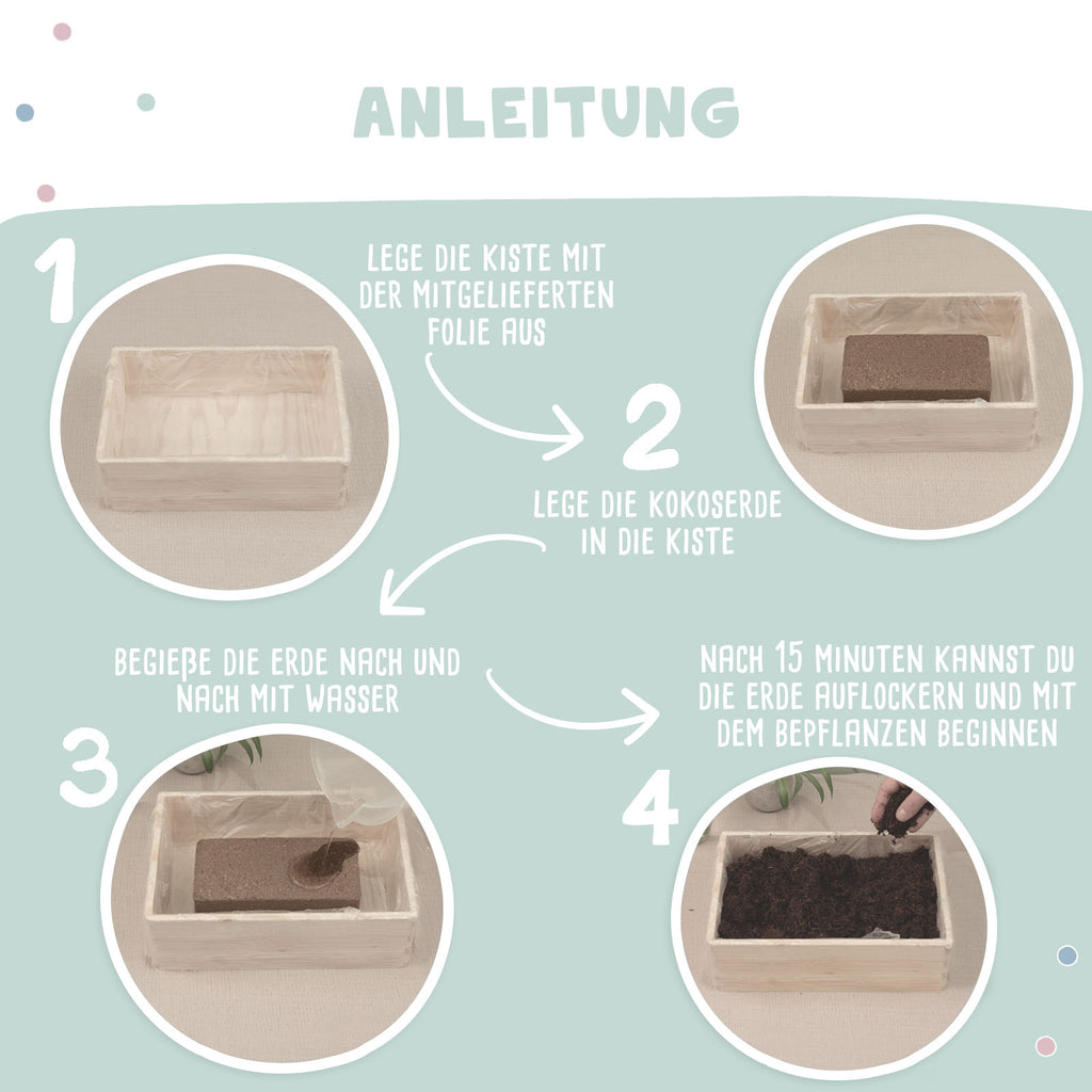 Saatgut Anzuchtset - Mini Garten Starter Kit mit personalisierter Holzkiste Gravur