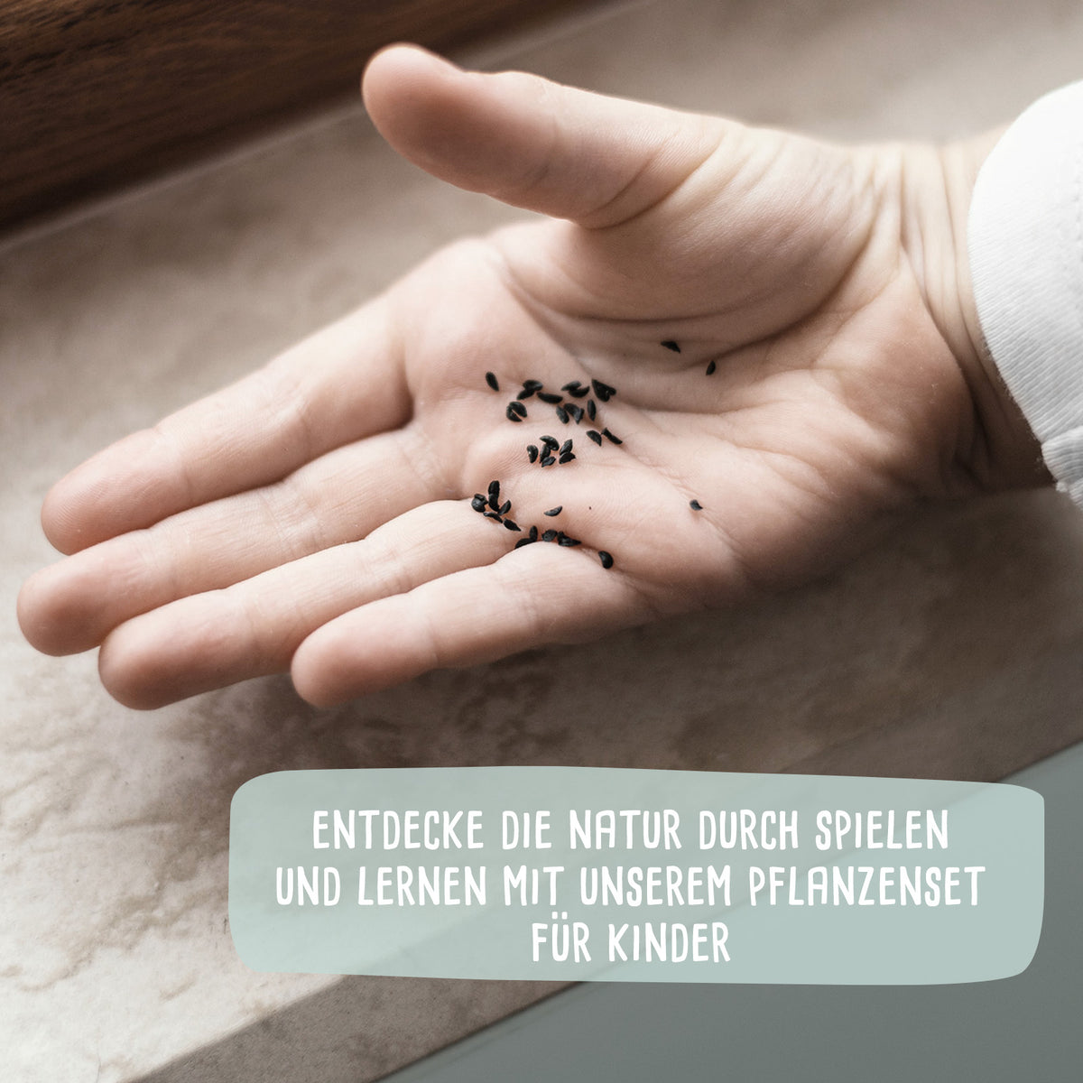 Saatgut Anzuchtset - Mini Garten Starter Kit mit personalisierter Holzkiste Gravur