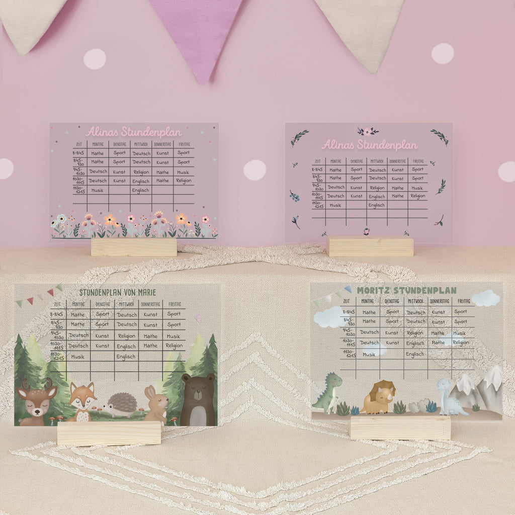 Personalisierter Stundenplan Transparent - abwischbar - mit Stift