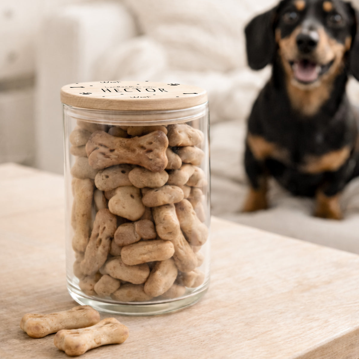 Personalisiertes Vorratsglas für Hunde "Hundeknochen bunt"
