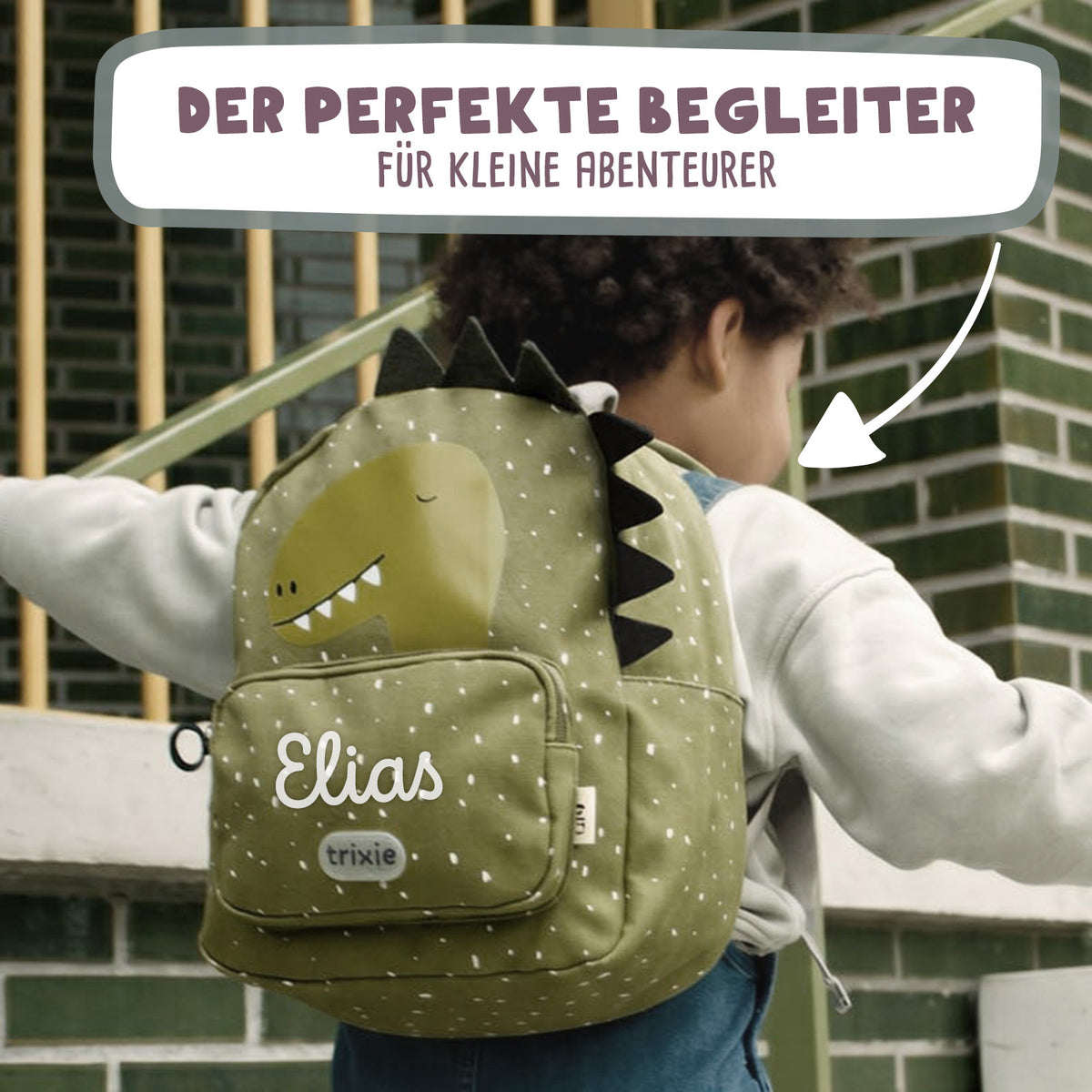 Trixie Rucksack „Mr. Dino“ Plott