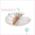 Baby bump plaster cast set for pregnant women praxy®