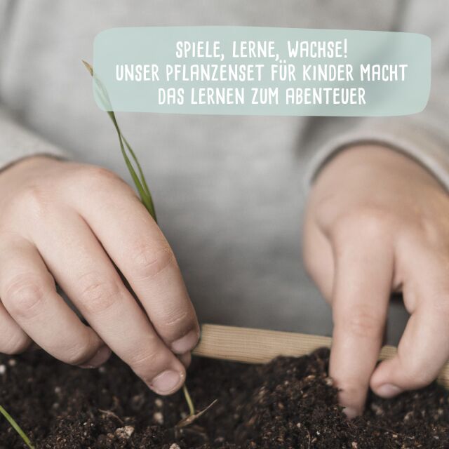 Saatgut Anzuchtset - Mini Garten Starter Kit mit personalisierter Holzkiste Aquarell Gemüse L (40x30x14 cm)